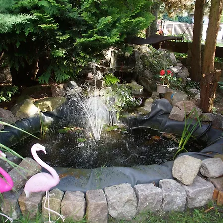 Проживание в семье Koja *