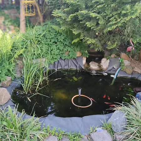 Koja Homestay szállás