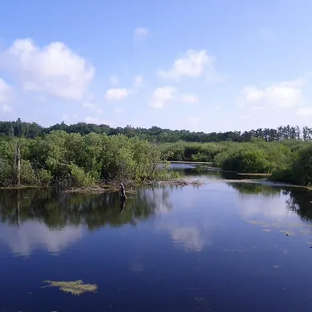 Koja منزل للإقامة