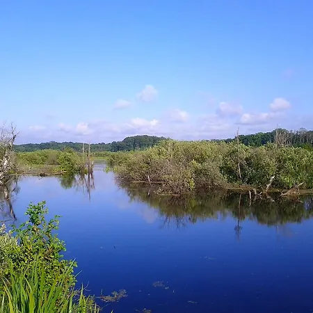 Koja * كولوبرزيغ